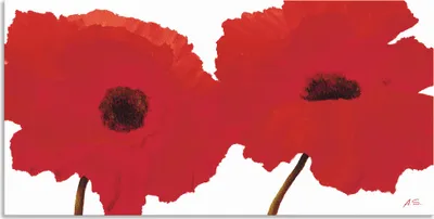 Produktbild von ARTland Wandbild Alu für Innen & Outdoor Roter Mohn II Größe: 40x20 cm