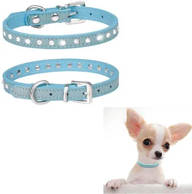 Produktbild von Zwei Stücke für Hunde und Katzen - Diamanten Halsband - mit Kristallen - für kleine bis mittelgroße weibliche Haustiere - blau - weich und bequem