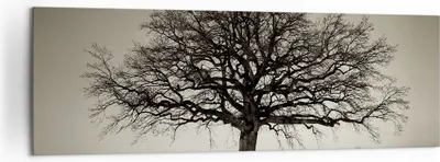 Produktbild von Bild auf Leinwand - Leinwandbild - Einteilig - Baum Schnee Sepia - 160x50cm - Wand Bild - Wanddeko - Wandbilder - Leinwanddruck - Bilder - Wanddekoration - Leinwand bilder - Wandbild - AB160x50-4161