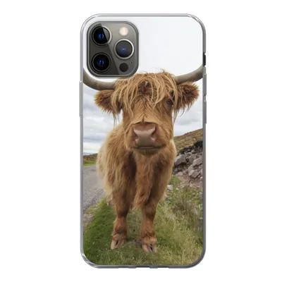 Produktbild von MuchoWow® Handyhülle Schutzhülle Hülle für iPhone 12 Pro Schottischer Highlander - Hörner - Berg Silikon Softcase Handy Hülle - Abdeckung