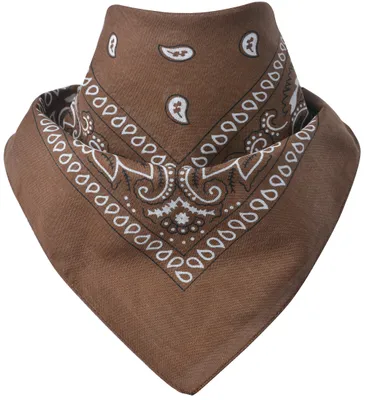 Produktbild von Bandana Paisley Braun