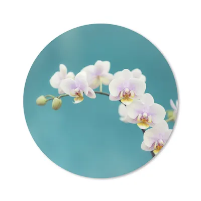 Produktbild von MuchoWow® Mauspad Mousepad Orchidee - Blumen - Pflanze - Weiß - Lila 50x50 cm - Mousepads - Maus Mat - Pad - Mausunterlage - Vinyl