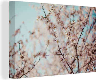 Produktbild von OneMillionCanvasses® - Leinwandbilder - 140x90 cm, Nahaufnahme von Mandelbäumen, Wandbilder Kunstdruck Wanddekoration