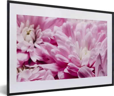 Produktbild von MuchoWow® Gerahmtes Poster Blumen - Rosa - Natur 60x40 cm - Poster mit Schwarzem Bilderrahmen Wandposter Rahmen Foto Bilder - Schlafzimmer - Plakat in Rahmen - Drucken