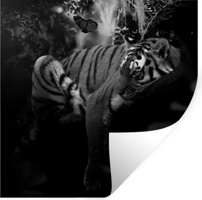 Produktbild von MuchoWow® Wandtattoo Wandsticker Wandaufkleber Schmetterling - Dschungel - Tiger - Schwarz - Weiß 80x80 cm Selbstklebend und Repositionierbar - Wierderverwendbar - Selbstklebend