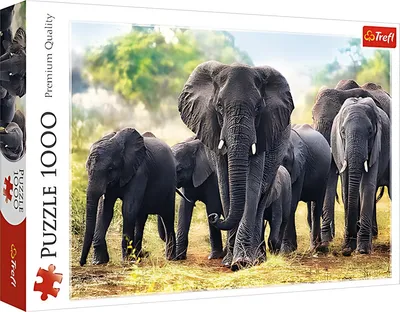 Zdjęcie produktu dla Trefl Puzzle 1000 Afrykańskie Słonie 10442