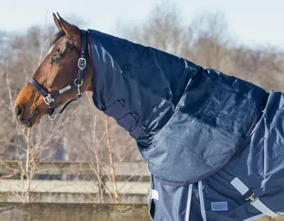 Image de QHP couvre-cou Turnout 200g navy imperméable, QHP17_Taille:L