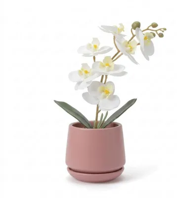Produktbild von G.blümt Künstliche Orchidee Phalaenopsis im Topf, kleine Kunstpflanze Schmetterlingsorchidee wie echt Weiß, rosa Topf