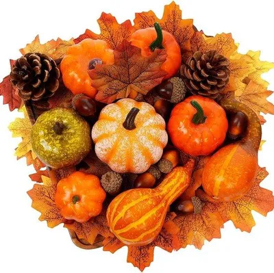 Produktbild von Famanu Herbstdekoration mit Kürbissen und Ahornblättern - 50-teilig