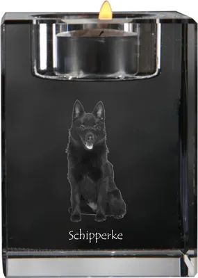 Image de Art-Dog Photophore pour bougie chauffe-plat – Schipperke