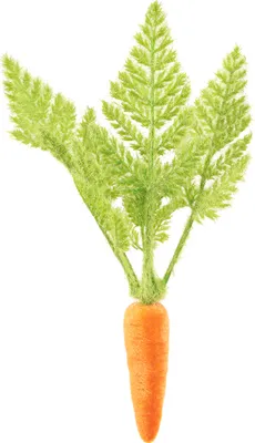 Produktbild von Karotten Deko Beflockt Orange Grün 8 Stk Frühling Ostern, 8 Stück
