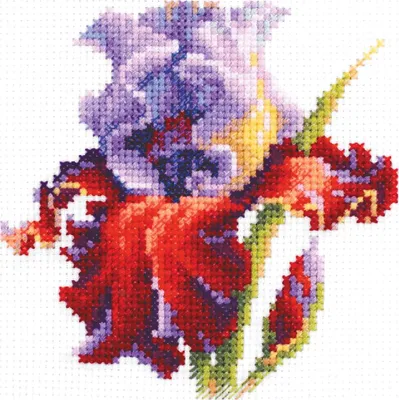 Zdjęcie produktu dla Zestaw do haftu krzyżykowego Magic Needle Zweigart Edition "Iris", wzór liczony, 11x11cm