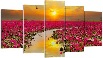 Produktbild von Bild auf Leinwand - Leinwandbild - See Blumen - 160x85cm - Wand Bild - Wanddeko - Wandbilder - Leinwanddruck - Bilder - Kunstdruck - Wanddekoration - Leinwand bilder - Wandkunst - EA160x85-3769