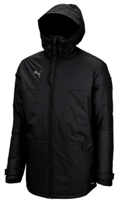 Produktbild von Puma - "TeamFinal 21" Parka für Herren MR851 (M) (Schwarz)
