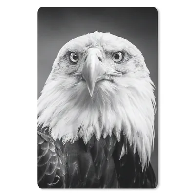 Produktbild von MuchoWow® Mauspad Mousepad Adler - Raubvogel - Schwarz - Weiß - Tiere 18x27 cm - Mousepads - Maus Mat - Pad - Mausunterlage