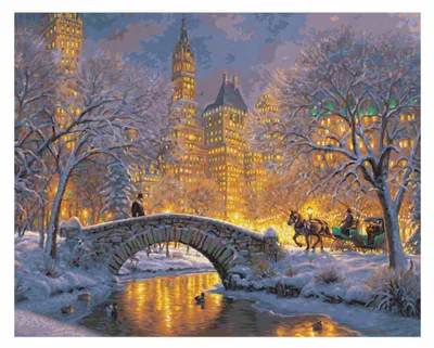 Immagine prodotto di Dipingere per numeri - Notte silenziosa a Central Park