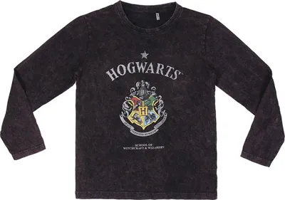 Produktbild von Harry Potter Hogwarts Longsleeve Langarm-Shirt Kinder Jungen, Größe Kids:116