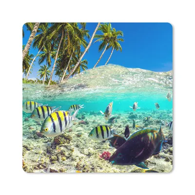 Produktbild von MuchoWow® Mauspad Mousepad Meer - Fische - Korallen 30x30 cm - Mousepads - Maus Mat - Pad - Mausunterlage - Gaming