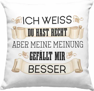 Produktbild von Trendation - Lustiges Geschenk für Männer Frauen Deko-Kissen mit Füllung 40x40 Besserwisser Geschenkidee Lustige Deko-Kissen mit Füllung 40x40 mit Spruch (Grau)