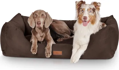Produktbild von Knuffelwuff Hundebett Dreamline aus Velours XL 105 x 75cm Braun
