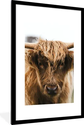 Produktbild von MuchoWow® Gerahmtes Poster Schottischer Highlander - Kuh - Gras - Tiere - Natur 60x90 cm - Poster mit Schwarzem Bilderrahmen Wandposter Rahmen Foto Bilder - Dekoration - Wandposter Wohnzimmer - Hochwertig