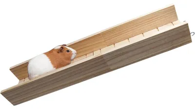 Produktbild von Meerschweinchen Kletterrampe aus Holz – Spielzeugleiter für Hamster, Kleintier Zubehör, Brücke für Ratten, Chinchillas & Eichhörnchen (60×12,5×7 cm)