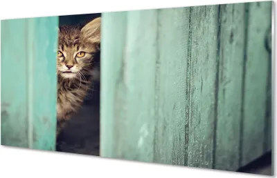 Produktbild von Glasbilder 120x60 Wandkunst Zaglądający Katze