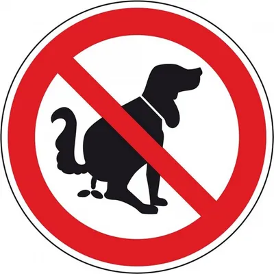 Produktbild von Dreifke® Kunststoff-Schild "Kein Hundeklo", Ø20cm, 1 Stück, Praxisbewährtes G...