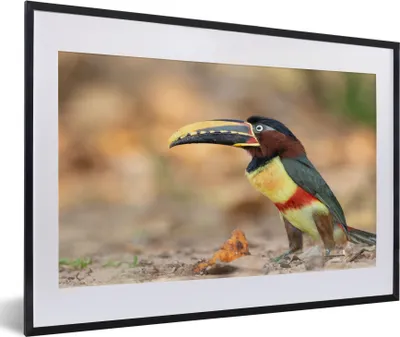 Produktbild von MuchoWow® Gerahmtes Poster Vogel - Tukan - Federn - Natur 60x40 cm - Poster mit Schwarzem Bilderrahmen Wandposter Rahmen Foto Bilder - Schlafzimmer - Plakat in Rahmen - Drucken