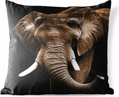 Produktbild von MuchoWow® Outdoor Kissen - Elefant - Tiere - Zähne - 45x45 cm - Wetterfest - Lounge Kissen - Fotokissen - Dekoratives Kissen