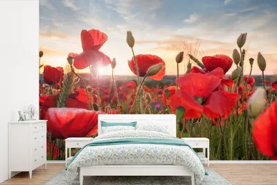 Produktbild von MuchoWow® Fototapete für Wohnzimmer oder Schlafzimmer Wandtapete Vinyl Motivtapete Sonnenuntergang hinter den schönen Mohnblumen - 330x220 cm - Fototapeten