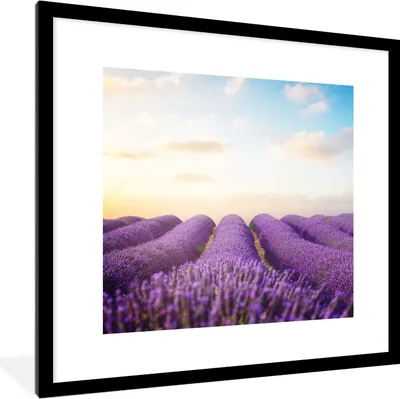 Produktbild von MuchoWow® Gerahmtes Poster Lavendel - Himmel - Wolken - Blumen 40x40 cm - Poster mit Schwarzem Bilderrahmen Wandposter Rahmen Foto Bilder - Poster - Plakat im Rahmen