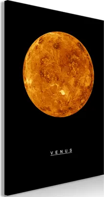 Produktbild von Italienischer Leinwand Leinwandbild - Venus (1 Part) Vertical 40x60 cm Für Kinder n-C-0174-b-a