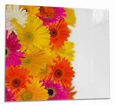 Produktbild von Wallario Herdabdeckplatte aus Glas, Größe 60 x 52 cm 1-teilig, Motiv Bunte Gerberas - pinke, gelbe, rote und weiße Blüten