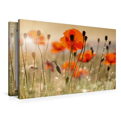 Produktbild von Calvendo Textil-Leinwand 90 cm x 60 cm quer Mohnblumen, Felber Monika; 7386344