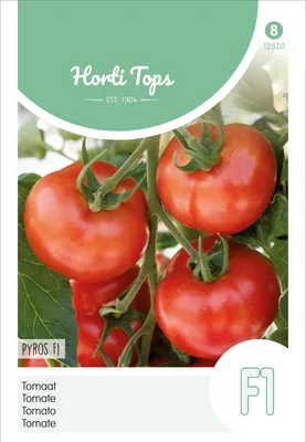 Produktbild von Tomate Pyros F1 Hybride | Tomatensamen von Hortitops