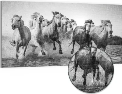Produktbild von DEQORI Hybrid Leinwand Bild 100x50 cm 'Freiheit im Galopp' Wandbild Glas flach modern