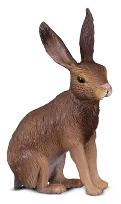 Produktbild von Collecta - Liebre Marron -S- 88012 (90188012) COLECTA