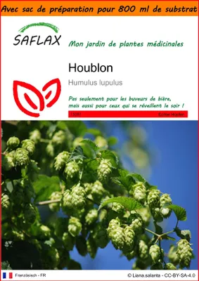 Image de SAFLAX Garden in the bag - Houblon - 50 graines - Humulus
