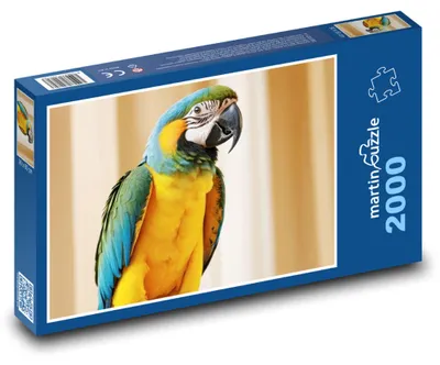 Zdjęcie produktu dla martinpuzzle - Puzzle 2000 - Papuga