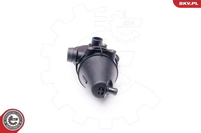 Produktbild von ESEN SKV Reparatursatz Kurbelgehäuseentlüftung 31SKV039 Zylinderkopf für BMW 5 Limousine (E39) druckgesteuert 0,55kg