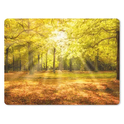 Produktbild von MuchoWow® Mauspad Mousepad Baum - Natur - Sonne - Landschaft - Wald 40x30 cm - Mousepads - Maus Mat - Pad - Mausunterlage - Anti Rutsch