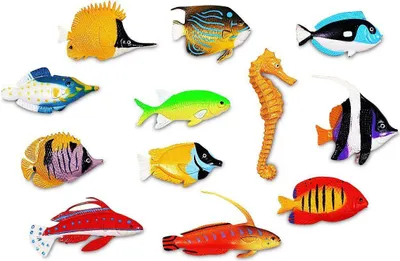 Produktbild von Set zum Sortieren - Verspielter Fisch - 60-teilig