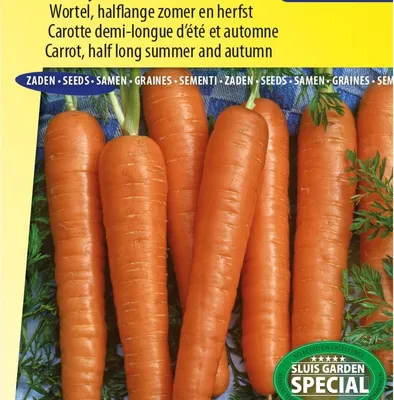 Image de Graines de carottes Reistafly F1 Tozresis – Carottes d'été et d'automne – – Une récolte croquante et sucrée pour le potager