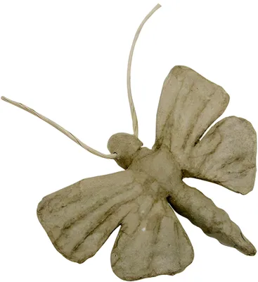 Image de Papillon