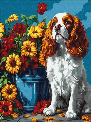 Produktbild von Malen nach Zahlen – Spaniel und Blumen 30 x 40 cm – Ideyka