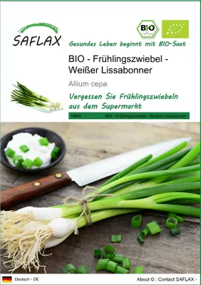 Produktbild von SAFLAX - BIO - Frühlingszwiebel - Weißer Lissabonner - 150 Samen - Allium cepa