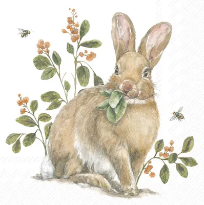 Produktbild von Serviette "Gartenhase"