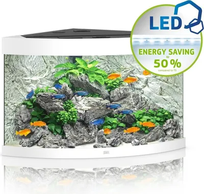 Zdjęcie produktu dla Juwel Trigon 190 LED biały - akwarium Juwel