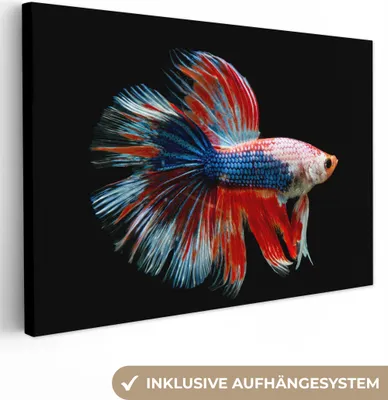 Produktbild von OneMillionCanvasses® - Leinwandbilder - 140x90 cm, Fisch - Meerestier - Schwanz - Blau, Wandbilder Kunstdruck Wanddekoration